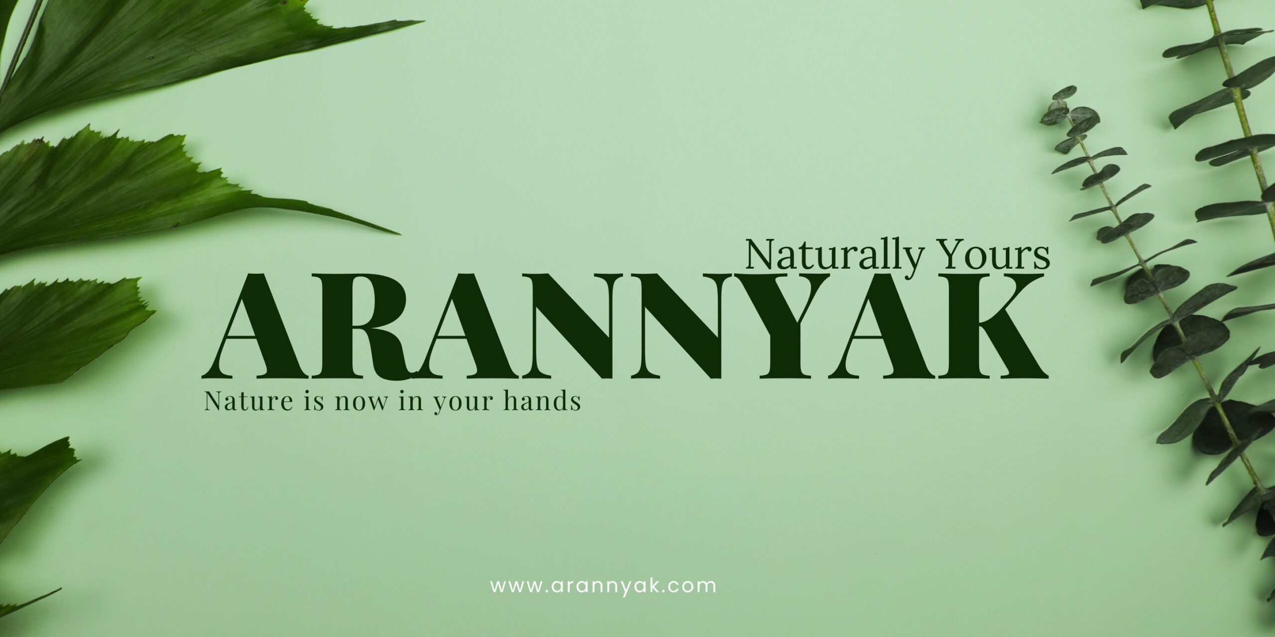 508257093_122101259552909801_1633601916236780504_n